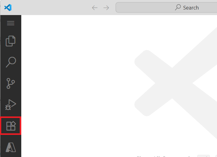 Screenshot shows Extensions Tile on VSCode.